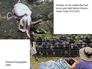 7
Animals?
National Geographic
2009
Octopus on the seabed that had
never seen light before (Source:
Andy Fisher of UCSC)
 