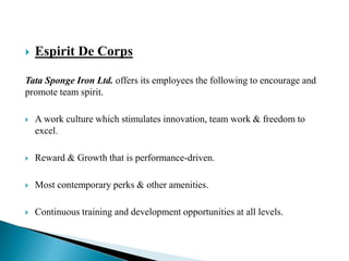  Espirit De Corps
Tata Sponge Iron Ltd. offers its employees the following to encourage and
promote team spirit.
 A work culture which stimulates innovation, team work & freedom to
excel.
 Reward & Growth that is performance-driven.
 Most contemporary perks & other amenities.
 Continuous training and development opportunities at all levels.
 