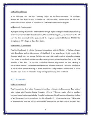 A Report On Corporate Social Responsibility : The Tata Group | PDF