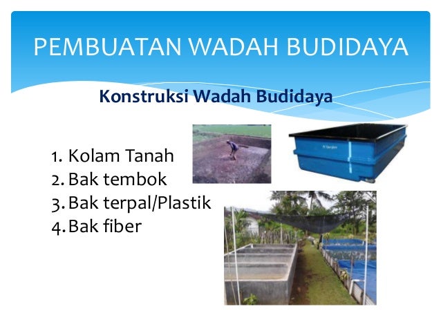 Image Result For Konstruksi Wadah Budidaya Ikan Image Result For Konstruksi Wadah Budidaya Ikan