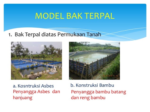 Tata letak dan konstruksi wadah budidaya ikan