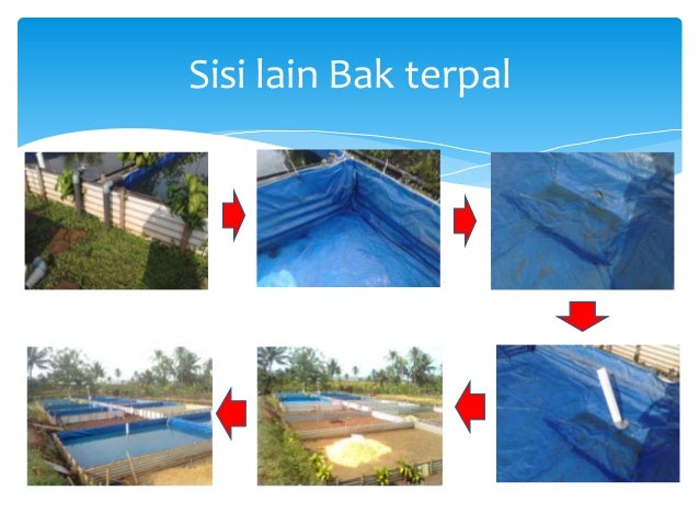 Tata letak dan konstruksi wadah budidaya ikan