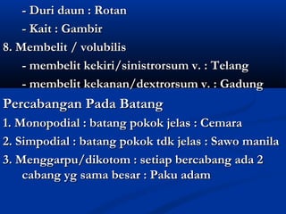 - Duri daun : Rotan
    - Kait : Gambir
8. Membelit / volubilis
    - membelit kekiri/sinistrorsum v. : Telang
    - membelit kekanan/dextrorsum v. : Gadung
Percabangan Pada Batang
1. Monopodial : batang pokok jelas : Cemara
2. Simpodial : batang pokok tdk jelas : Sawo manila
3. Menggarpu/dikotom : setiap bercabang ada 2
    cabang yg sama besar : Paku adam
 