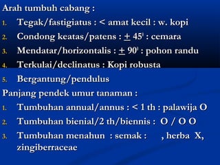 Arah tumbuh cabang :
1. Tegak/fastigiatus : < amat kecil : w. kopi

2. Condong keatas/patens : + 450 : cemara

3. Mendatar/horizontalis : + 900 : pohon randu

4. Terkulai/declinatus : Kopi robusta

5. Bergantung/pendulus

Panjang pendek umur tanaman :
1. Tumbuhan annual/annus : < 1 th : palawija O

2. Tumbuhan bienial/2 th/biennis : O / O O

3. Tumbuhan menahun : semak :         , herba X,
   zingiberraceae
 