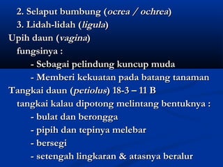 2. Selaput bumbung (ocrea / ochrea)
 3. Lidah-lidah (ligula)
Upih daun (vagina)
 fungsinya :
     - Sebagai pelindung kuncup muda
     - Memberi kekuatan pada batang tanaman
Tangkai daun (petiolus) 18-3 – 11 B
 tangkai kalau dipotong melintang bentuknya :
     - bulat dan berongga
     - pipih dan tepinya melebar
     - bersegi
     - setengah lingkaran & atasnya beralur
 
