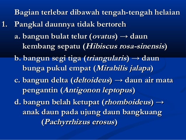 Diagram Dan Rumus Bunga Pukul Empat Images - How To Guide 