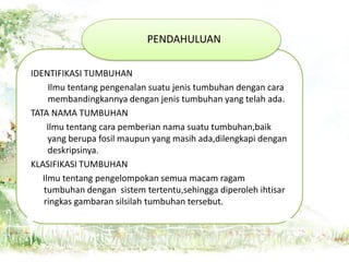 PENDAHULUAN
IDENTIFIKASI TUMBUHAN
Ilmu tentang pengenalan suatu jenis tumbuhan dengan cara
membandingkannya dengan jenis tumbuhan yang telah ada.
TATA NAMA TUMBUHAN
Ilmu tentang cara pemberian nama suatu tumbuhan,baik
yang berupa fosil maupun yang masih ada,dilengkapi dengan
deskripsinya.
KLASIFIKASI TUMBUHAN
Ilmu tentang pengelompokan semua macam ragam
tumbuhan dengan sistem tertentu,sehingga diperoleh ihtisar
ringkas gambaran silsilah tumbuhan tersebut.

 