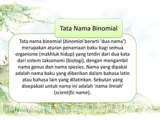 Tata Nama Binomial
Tata nama binomial (binomial berarti 'dua nama')
merupakan aturan penamaan baku bagi semua
organisme (makhluk hidup) yang terdiri dari dua kata
dari sistem taksonomi (biologi), dengan mengambil
nama genus dan nama spesies. Nama yang dipakai
adalah nama baku yang diberikan dalam bahasa latin
atau bahasa lain yang dilatinkan. Sebutan yang
disepakati untuk nama ini adalah 'nama ilmiah'
(scientific name).

 