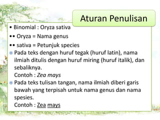 Aturan Penulisan
• Binomial : Oryza sativa
•• Oryza = Nama genus
•• sativa = Petunjuk species
 Pada teks dengan huruf tegak (huruf latin), nama
ilmiah ditulis dengan huruf miring (huruf italik), dan
sebaliknya.
Contoh : Zea mays
 Pada teks tulisan tangan, nama ilmiah diberi garis
bawah yang terpisah untuk nama genus dan nama
spesies.
Contoh : Zea mays

 