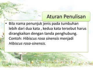 Aturan Penulisan
• Bila nama penunjuk jenis pada tumbuhan
lebih dari dua kata , kedua kata tersebut harus
dirangkaikan dengan tanda penghubung.
Contoh: Hibiscus rosa sinensis menjadi
Hibiscus rosa-sinensis.

 