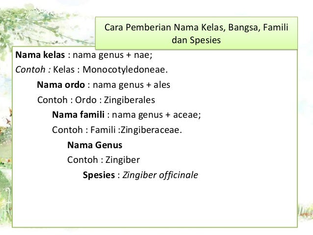 Cara Pemberian Nama Ilmiah Makhluk Hidup Pada Sistem Taksonomi – Rajiman
