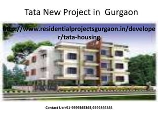 Tata New Project in Gurgaon
http://www.residentialprojectsgurgaon.in/develope
                 r/tata-housing




             Contact Us:+91-9599365365,9599364364
 