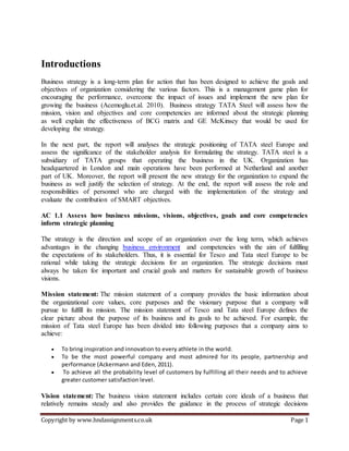 Tata steel Business Strategy Report | DOCX