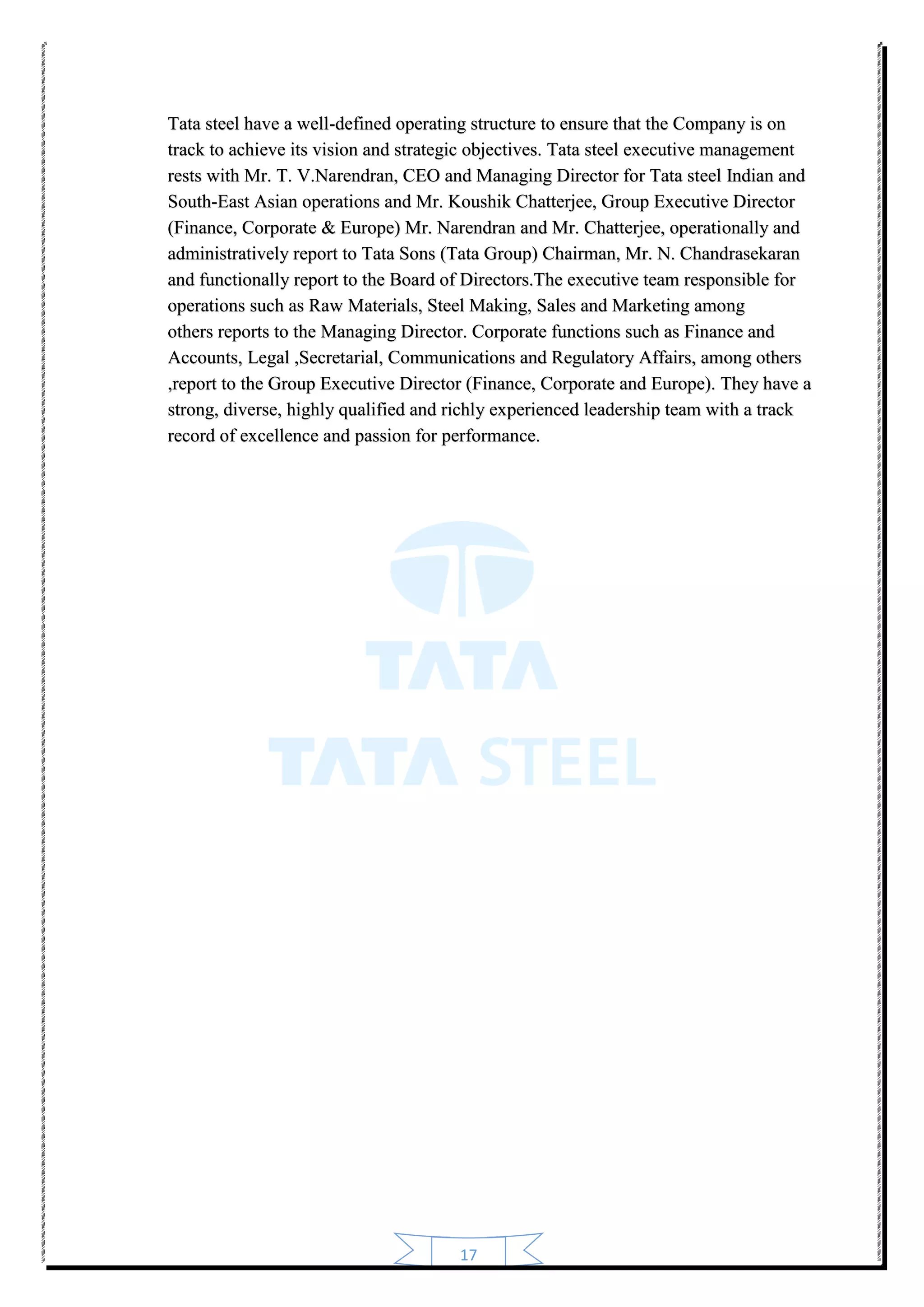 Tata steel report | PDF