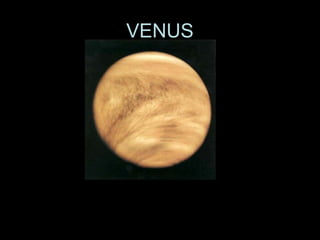 VENUS

 