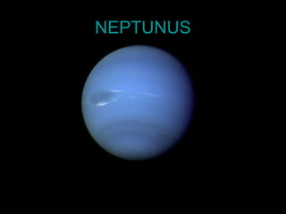 NEPTUNUS

 