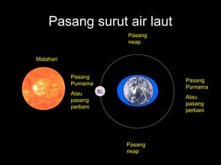 Pasang surut air laut
Pasang
neap
Matahari
Pasang
Purnama
Atau
pasang
perbani

Pasang
Purnama

BL

Atau
pasang
perbani

Pasang
neap

 