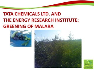 Tata Chemicals Ltd. and The Energy Research Institute: Greening of Malara 