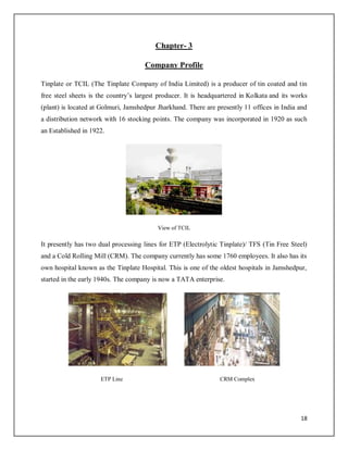Tata Tinplate Company of India Ltd | PDF