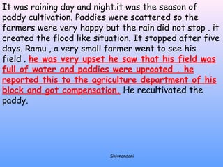 It was raining day and night.it was the season of 
paddy cultivation. Paddies were scattered so the 
farmers were very happy but the rain did not stop . it 
created the flood like situation. It stopped after five 
days. Ramu , a very small farmer went to see his 
field . he was very upset he saw that his field was 
full of water and paddies were uprooted . he 
reported this to the agriculture department of his 
block and got compensation. He recultivated the 
paddy. 
Shivnandani 
 