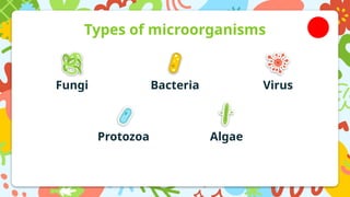 science PPT on microorganisms for grade 5.pptx