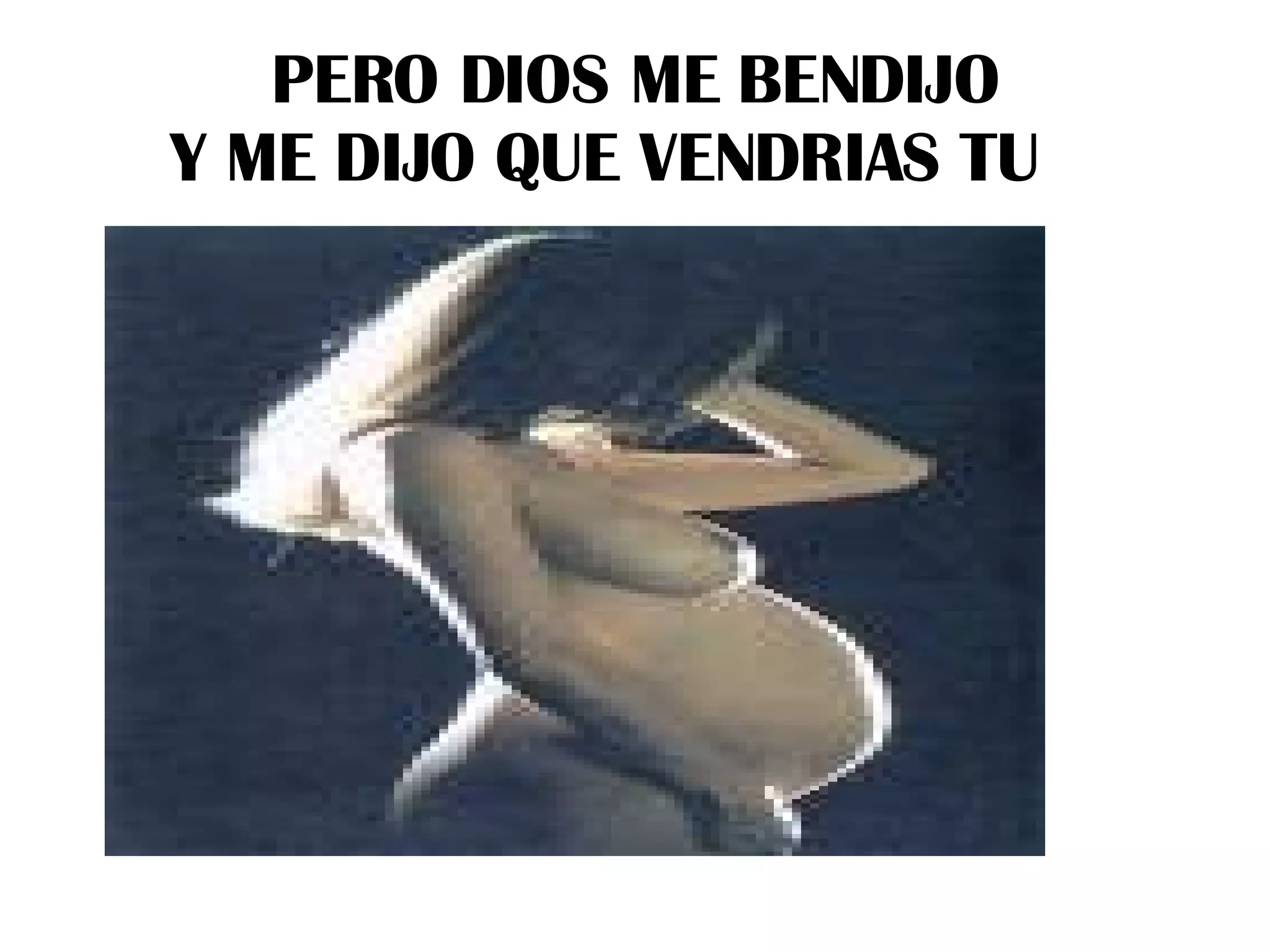 PERO DIOS ME BENDIJO Y ME DIJO QUE VENDRIAS TU