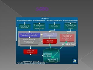 SGBD
 