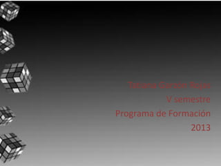 Tatiana Garzón Rojas
V semestre
Programa de Formación
2013
 