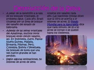 Destrucción de la SelvaA pesar de la oposición a la tala de los bosques tropicales, el problema sigue. Cada año, Brasil chuletas por un área de bosque del tamaño del estado de Nebraska.Además de las selvas tropicales del Amazonas, muchos otros bosques están siendo talados, así. En Indonesia, Zaire, Papúa-Nueva Guinea, Malasia, Birmania, Filipinas, Perú, Colombia, Bolivia y Venezuela, los bosques de lluvia que una vez fueron grandes se han perdido.Según algunas estimaciones, 50 millones de acres de selva tropical son talados cada año. Las Naciones Unidas dicen que la cifra se acerca a 17 millones de acres. El Fondo Mundial para la Naturaleza dice que cada minuto, de 25 a 50 acres se cortan o se quemó hasta los cimientos.