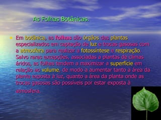 As Folhas Botânicas. Em  botânica , as  folhas  são  órgãos  das  plantas  especializados em captação de  luz  e trocas gasosas com a  atmosfera  para realizar a  fotossíntese  e  respiração . Salvo raras excepções, associadas a plantas de climas áridos, as folhas tendem a maximizar a  superfície  em relação ao  volume , de modo a aumentar tanto a área da planta exposta à luz, quanto a área da planta onde as trocas gasosas são possíveis por estar exposta à atmosfera.   
