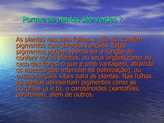 Porque as plantas são verdes ? As plantas nas suas folhas, e não só, contêm pigmentos com diversas funções. Estes pigmentos podem apenas ter a função de conferir cor ás plantas, ou seus órgãos(como no caso das flores, o que é uma vantagem, atraindo os insectos que intervêm na polinização), ou outras funções vitais para as plantas. Nas folhas as plantas apresentam pigmentos como as clorofilas (a e b), o carotenoides (xantofilas, carotenos), alem de outros.   