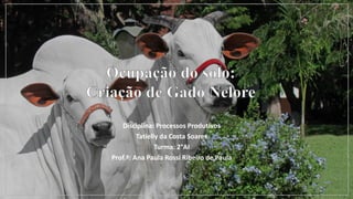 Disciplina: Processos Produtivos
Tatielly da Costa Soares
Turma: 2°AI
Prof.ª: Ana Paula Rossi Ribeiro de Paula
 