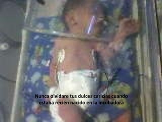 Nunca olvidare tus dulces caricias cuando estaba recién nacido en la incubadora 