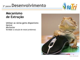 Mecanismo de Extração Utilizar as várias gems disponíveis: Hpricot Mechanize Scrubyt  (a solução de nossos problemas) 2º passo  Desenvolvimento Foto: BrianScott 