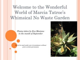 Welcome to the Wonderful
 World of Marcia Tatroe’s
Whimsical No Waste Garden

    Photos taken by Eva Montane
     in the month of September




  Not to be used under any circumstance without
              prior written permission
 