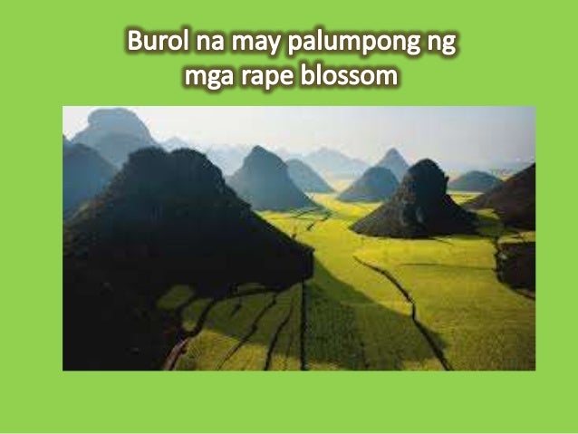 buod ng tatsulok ang daigdig Aralin 2 -tatsulok na daigdig teoryang romantisismo bahagi ng isang nobelang hapon ni alisin sa mundo ang lahat ng alalahanin at problemang nagpapabigat sa buhay sa halip ay ilarawan ang isang daigdig na punung-puno ng biyaya at pagmamahal magkakaroon ka ng musika, ng isang larawan. buod ng tatsulok ang daigdig Aralin 2 -tatsulok na daigdig teoryang romantisismo bahagi ng isang nobelang hapon ni alisin sa mundo ang lahat ng alalahanin at problemang nagpapabigat sa buhay sa halip ay ilarawan ang isang daigdig na punung-puno ng biyaya at pagmamahal magkakaroon ka ng musika, ng isang larawan.