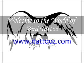 Welcome to the World of  Bird Tattoo www.itattooz.com 