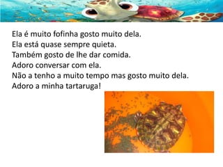 Ela é muito fofinha gosto muito dela.
Ela está quase sempre quieta.
Também gosto de lhe dar comida.
Adoro conversar com ela.
Não a tenho a muito tempo mas gosto muito dela.
Adoro a minha tartaruga!

 