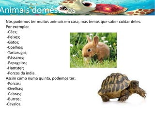 Animais domésticos
Nós podemos ter muitos animais em casa, mas temos que saber cuidar deles.
Por exemplo:
-Cães;
-Peixes;
-Gatos;
-Coelhos;
-Tartarugas;
-Pássaros;
-Papagaios;
-Hamster;
-Porcos da índia.
Assim como numa quinta, podemos ter:
-Porcos;
-Ovelhas;
-Cabras;
-Burros;
-Cavalos.

Animais domésticos

 