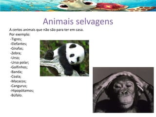 Animais selvagens
A certos animais que não são para ter em casa.
Por exemplo:
-Tigres;
-Elefantes;
-Girafas;
-Zebra;
-Urso;
-Urso polar;
-Golfinhos;
-Banda;
-Coala;
-Macacos;
-Cangurus;
-Hipopótamos;
-Búfalo.

 