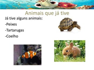 Animais que já tive
Já tive alguns animais:
-Peixes
-Tartarugas
-Coelho

 