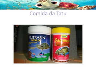 Comida da Tatu

 