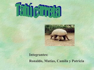 Integrantes: Ronaldo, Matías, Camila y Patricia Tatú carreta 