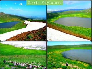 E r c i ş Y a y l a l a r ı
 