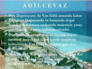 A D İ L C E V A Z
• Süte Depresyonu ile Van Gölü arasında kalan
Adilcevaz Doğusunda ve batısında doğal
engeller bulunması nedeniyle nedeniyle yatay
yönde gelişme şansı bulamamaktadır.
• Dünyanın en iyi cevizleri ve reçellik kayısı
üretilen meyve bahçeleri içinde serpilmiş
konutlarıyla Van Gölü kıyılarının göz alıcı
yerleşmeleri arasındadır.
• Adilcevaz II. Rusa döneminde inşa edilen Kef
Kalesi, Selçuklu Dönemi’ne kadar
kullanılmıştır.
 