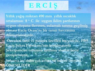 Yıllık yağış miktarı 490 mm yıllık sıcaklık
ortalaması 8 o C ile uygun iklim şartlarının
uygun oluşuna ilaveten, sulamalı tarıma geçilmiş
olması Erciş Ovası'nı bir tarım havzasına
dönüştürmüştür.
Önceleri tahıl ve patates üretilen bu yörede, 1989
Erciş Şeker Fabrikası'nın kurulmasıyla
Şekerpancarı tarımına ayrılmış alanlar hızla
genişlemiştir.
Suluova ise daha çok sebze ve meyve üretimi
ÖNEMLİDİR .
E R C İ Ş
 