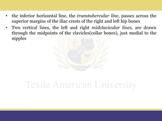 TAU Anatomical Terminologies [Autosaved]77.pptx