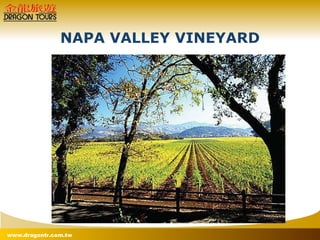 NAPA VALLEY VINEYARD 