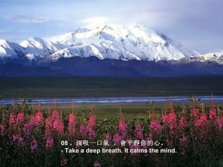 •




    08 。深吸一口氣 ， 會平靜你的心。  
    - Take a deep breath. It calms the mind.
 