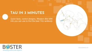 www.bosterbio.com
TAU IN 3 MINUTES
Quick facts, control designs, Western Blot MW.
Info you can use to find the best TAU antibody.
 